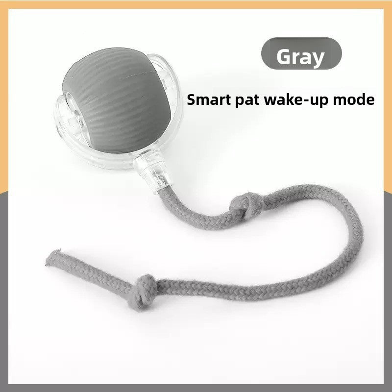 Interactive Pet Play Ball