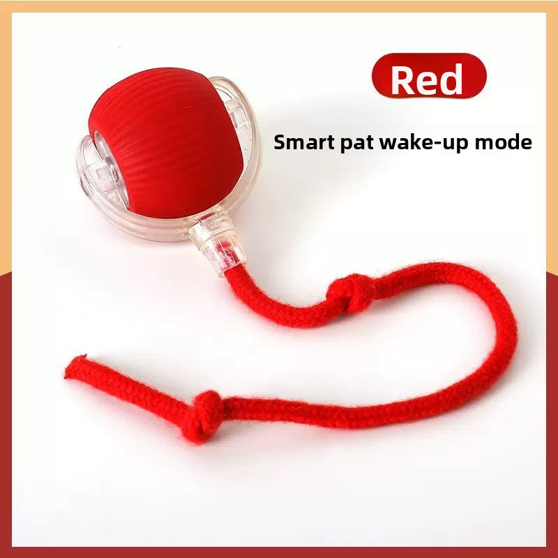 Interactive Pet Play Ball