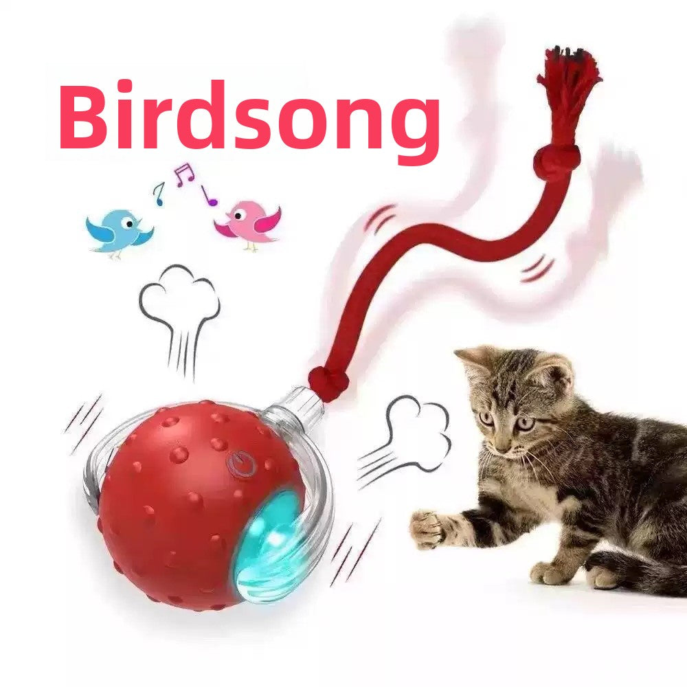 Interactive Pet Play Ball