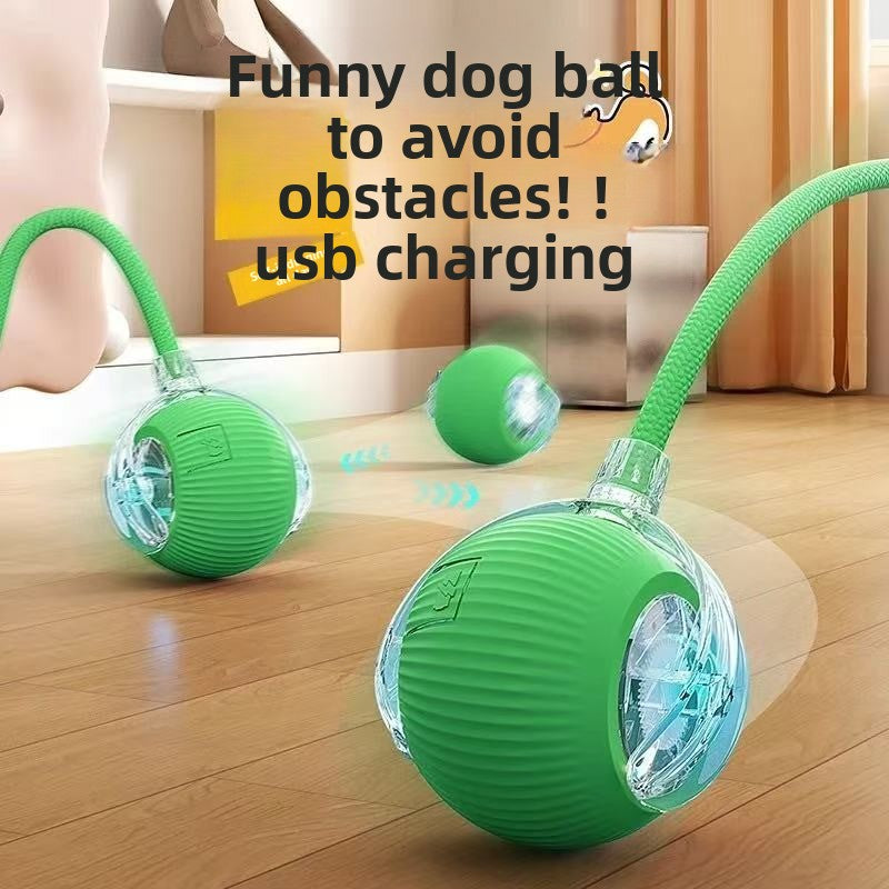 Interactive Pet Play Ball