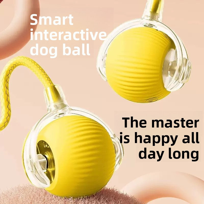 Interactive Pet Play Ball